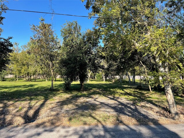 07 Middleton St, Bacliff, TX 77518 - photo 24