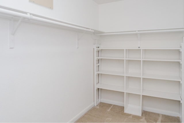 spacious closet with light carpet