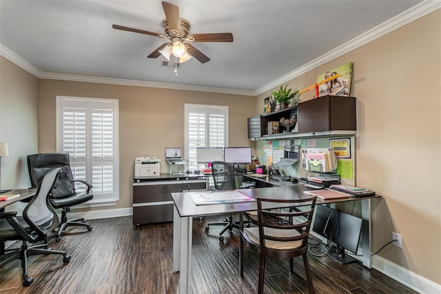 office space featuring ceiling fan, dark hardwood / wood-style flooring, and ornamental molding