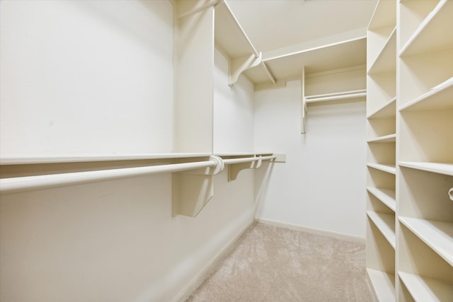 spacious closet featuring light carpet