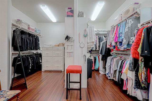 walk in closet featuring dark hardwood / wood-style floors