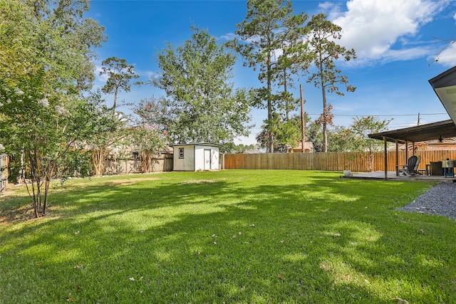 view of yard featuring a patio area and a shed