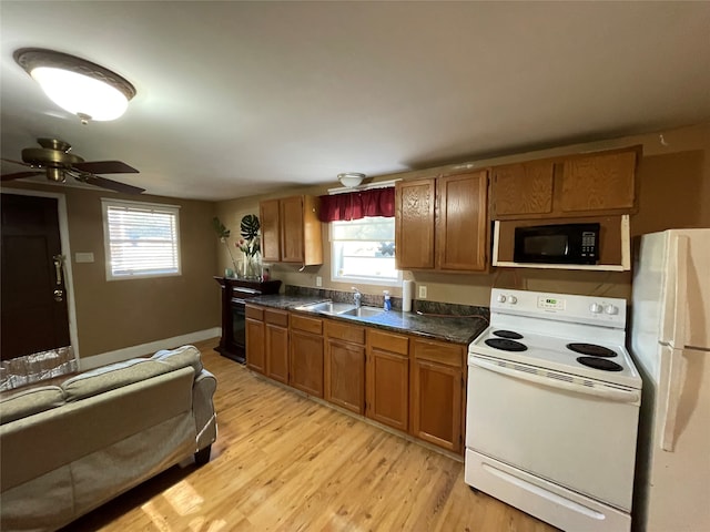 kitchen with light wood-type flooring, white appliances, ceiling fan, and sink