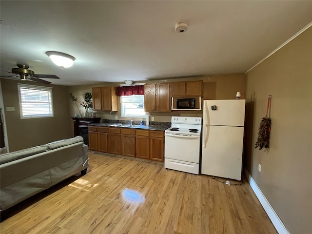 kitchen with ceiling fan, light hardwood / wood-style flooring, white appliances, and sink