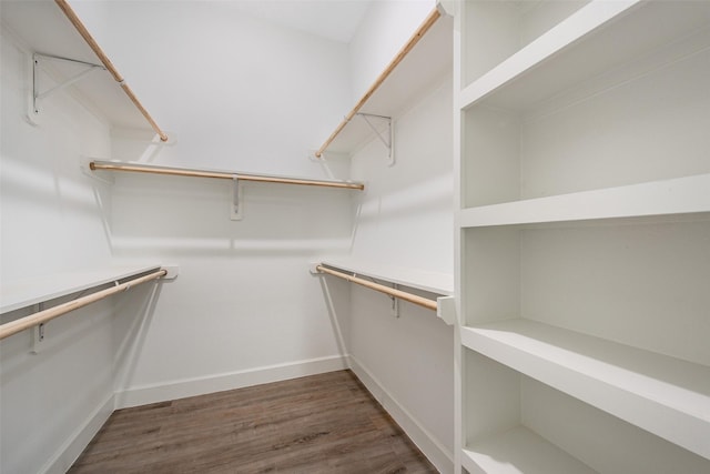 24601 Tipperary St, Hempstead, TX 77445 - walk in closet featuring wood finished floors