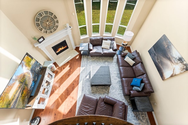 living room with a fireplace, hardwood / wood-style floors, and a towering ceiling