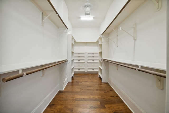 spacious closet featuring dark hardwood / wood-style floors