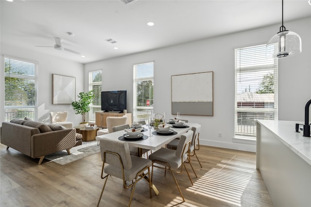 dining space with light hardwood / wood-style floors, a wealth of natural light, and ceiling fan