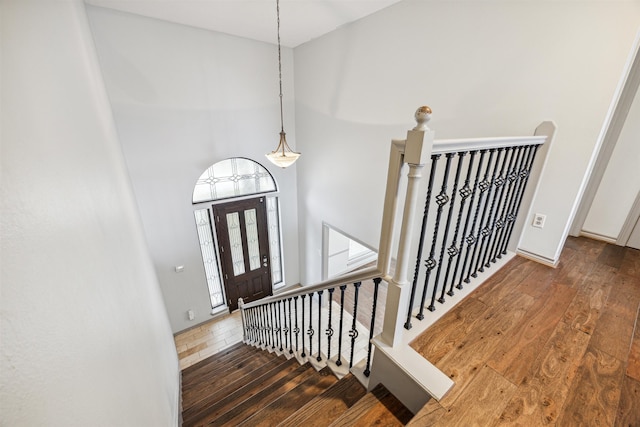 foyer featuring a high ceiling and dark wood-type flooring