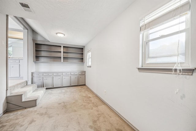 unfurnished office with a textured ceiling, light colored carpet, and lofted ceiling