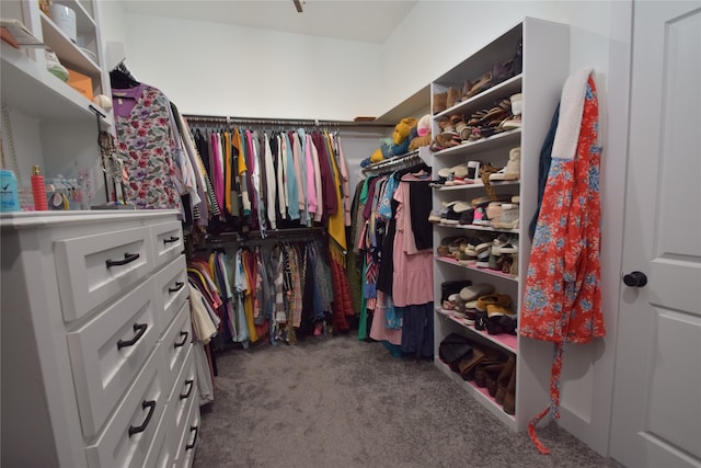 spacious closet with dark colored carpet