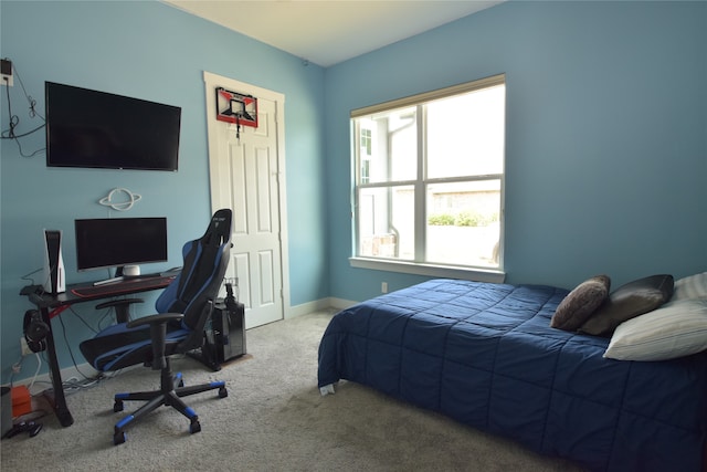 carpeted bedroom with multiple windows