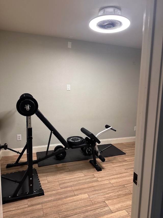 exercise room featuring light hardwood / wood-style flooring