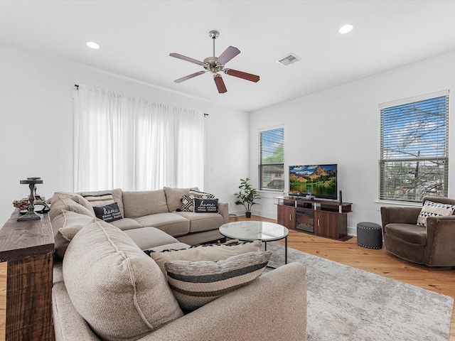 living room with ceiling fan and wood-type flooring