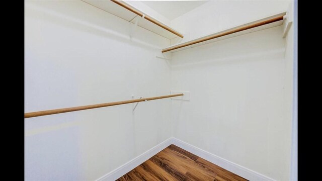 spacious closet featuring hardwood / wood-style floors