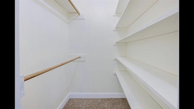 walk in closet with light carpet