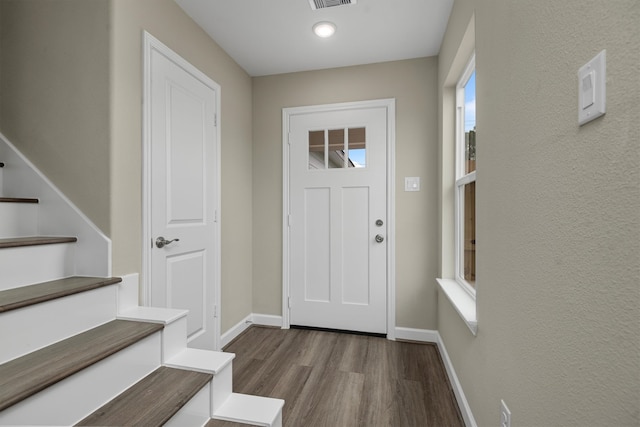 entryway featuring a wealth of natural light and dark hardwood / wood-style floors