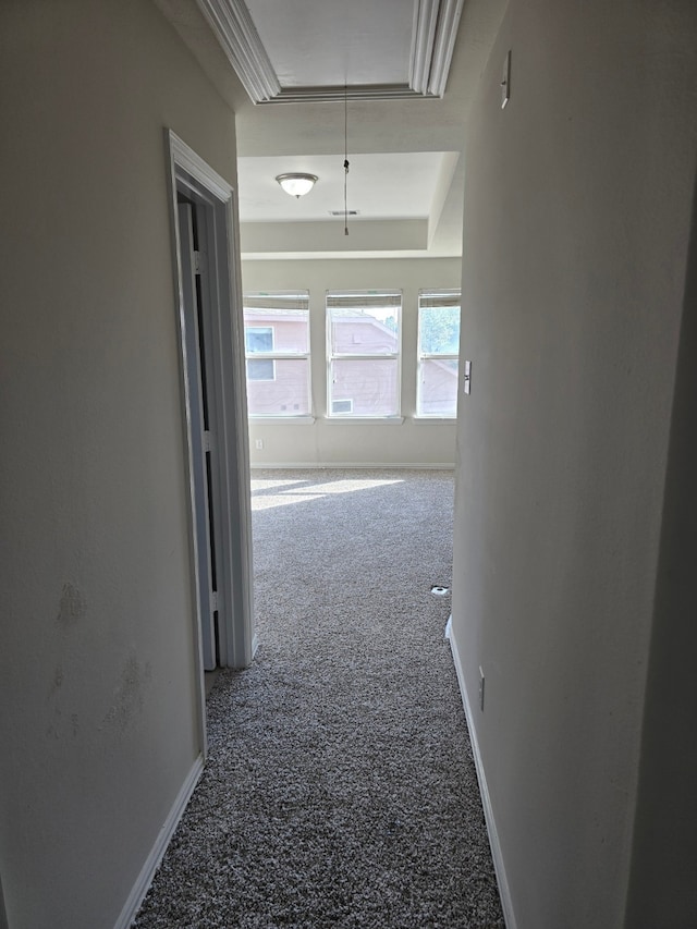 hallway featuring carpet floors