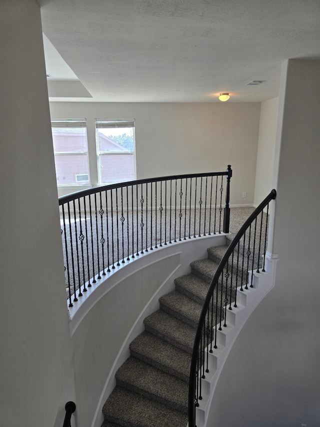 stairs with carpet