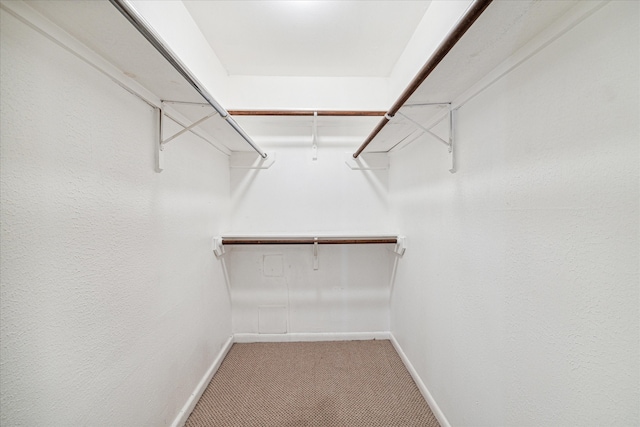 spacious closet featuring carpet flooring