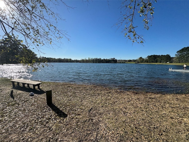 12466 Royal Lake Dr, Conroe, TX 77303 - property view of water