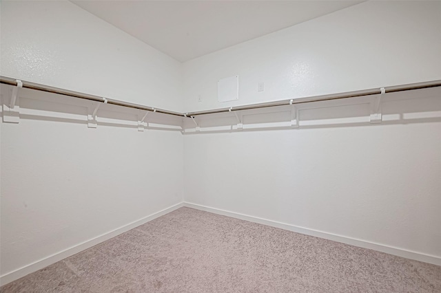 walk in closet with carpet floors