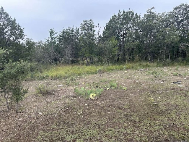 Listing photo 2 for 0 County Road 611, Brownwood TX 76801