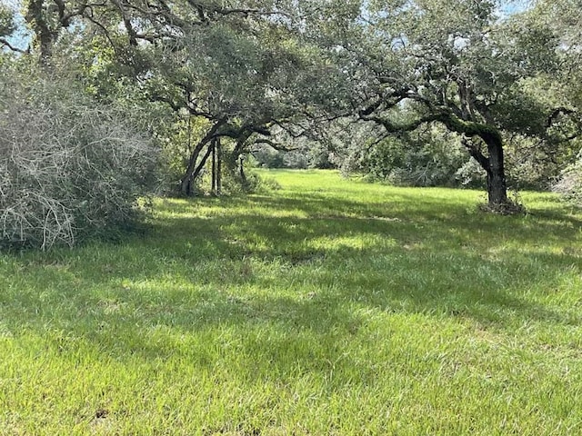 128 Center Tree Dr, Palacios TX, 77465 land for sale