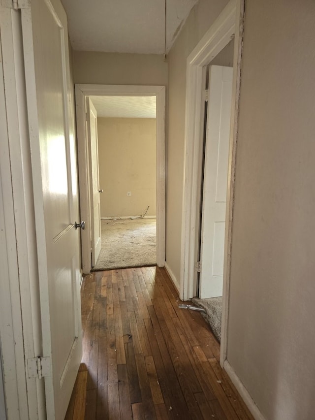 hallway with dark hardwood / wood-style floors