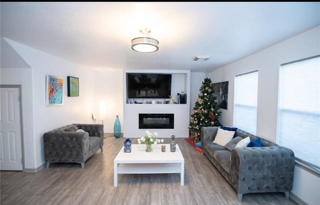 living room featuring light wood-type flooring