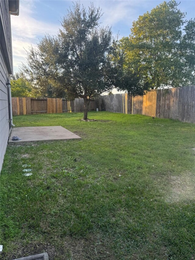 view of yard featuring a patio