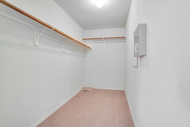 walk in closet with carpet flooring