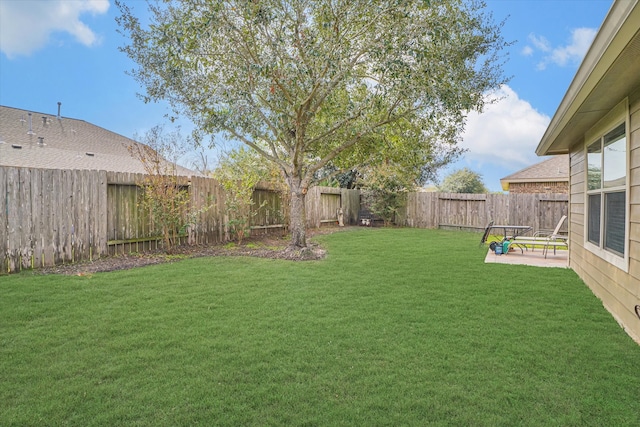 view of yard featuring a patio