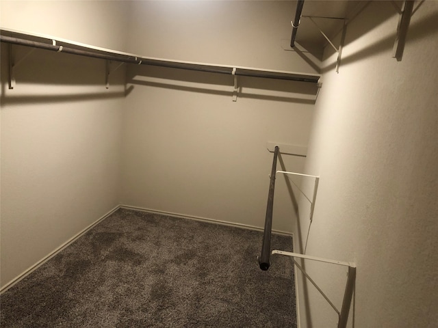 walk in closet with carpet