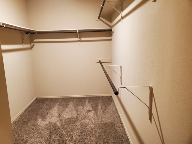 spacious closet with carpet flooring