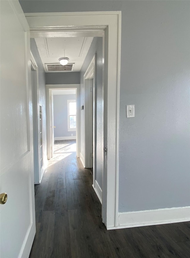 corridor with dark wood-type flooring