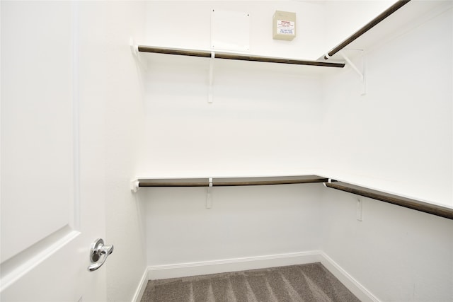 spacious closet with carpet floors