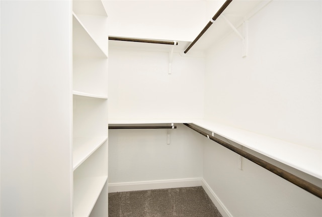 spacious closet featuring carpet floors