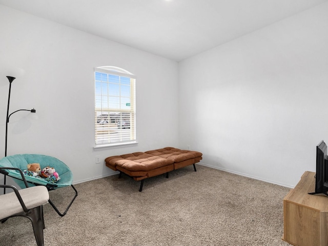 living area featuring light colored carpet