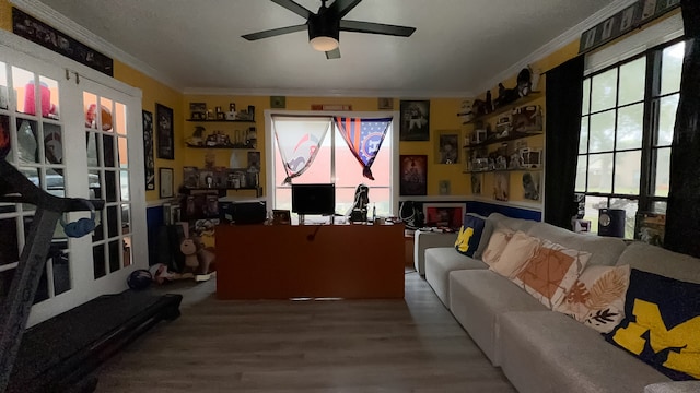 living room with hardwood / wood-style floors, ceiling fan, and ornamental molding