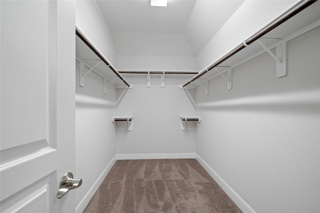 walk in closet with carpet flooring and vaulted ceiling