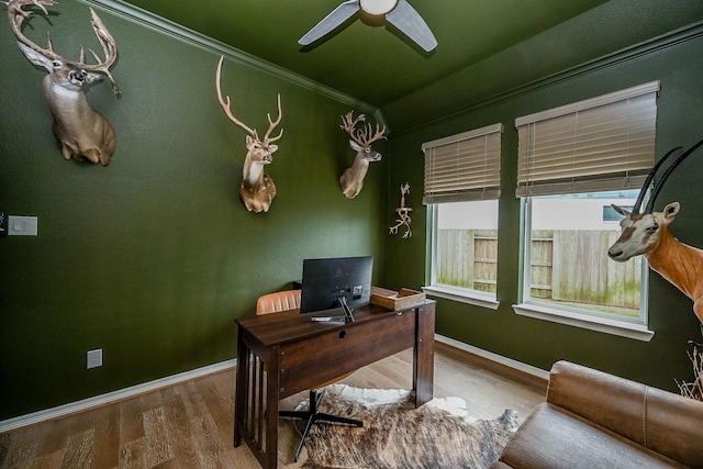 office space with hardwood / wood-style floors, crown molding, and ceiling fan