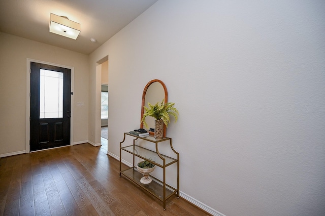 entrance foyer with dark wood-type flooring