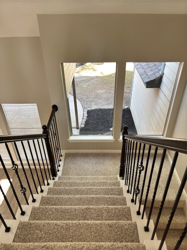 stairway with carpet