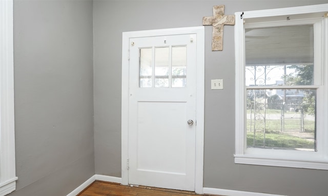 foyer with dark hardwood / wood-style flooring