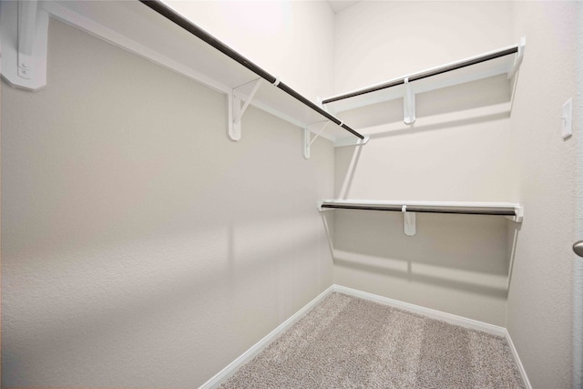 walk in closet with carpet