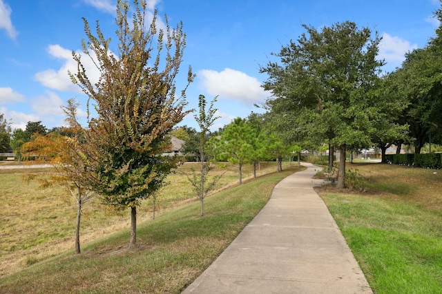 view of property's community with a lawn