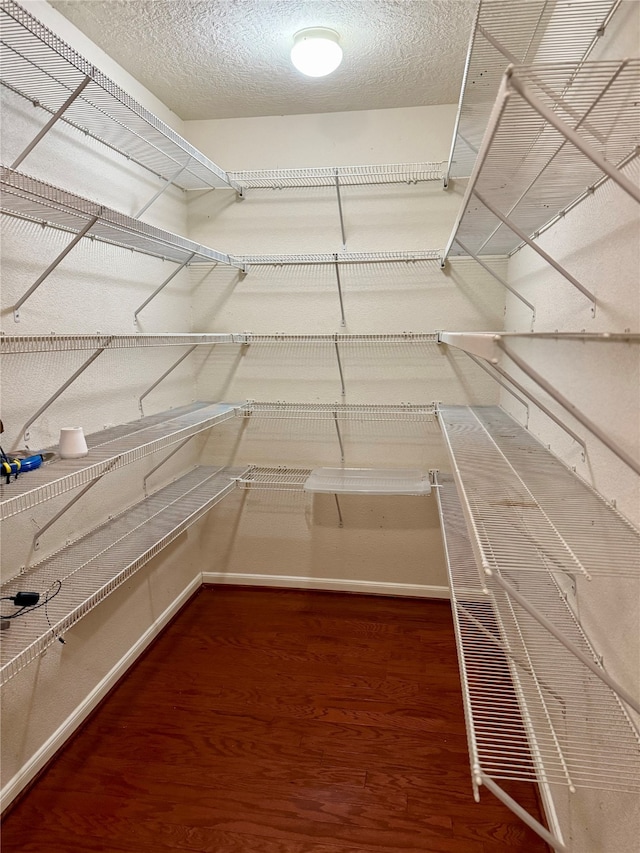 walk in closet featuring wood-type flooring