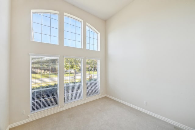 unfurnished room featuring light colored carpet and a high ceiling