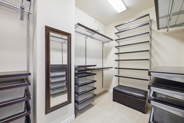 spacious closet with light colored carpet